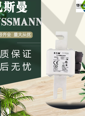 全新巴斯曼熔断器170M4268 170M5147 170M5148 170M5813 170M6144