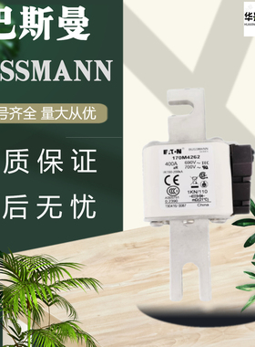全新原装巴斯曼熔断器170M4262 170M4263 170M4264 170M4266直销
