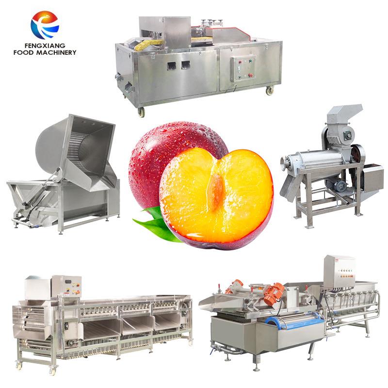源头厂家杏子李子去核机清洗榨汁整套加工设备果蔬去核机