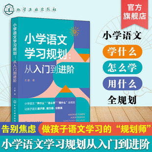 小学语文高频问题解决方案知识积累方法手册 小学到中学语文学习方法提分指导书数学思想方法导引 小学语文学习规划 从入门到进阶