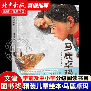 马鹿卓玛 白玛娜珍著 百班千人幼儿园学前大班 亲近母语分级阅读四年级推荐阅读书目 精装硬壳绘本故事书 北京少年儿童出版社 马路