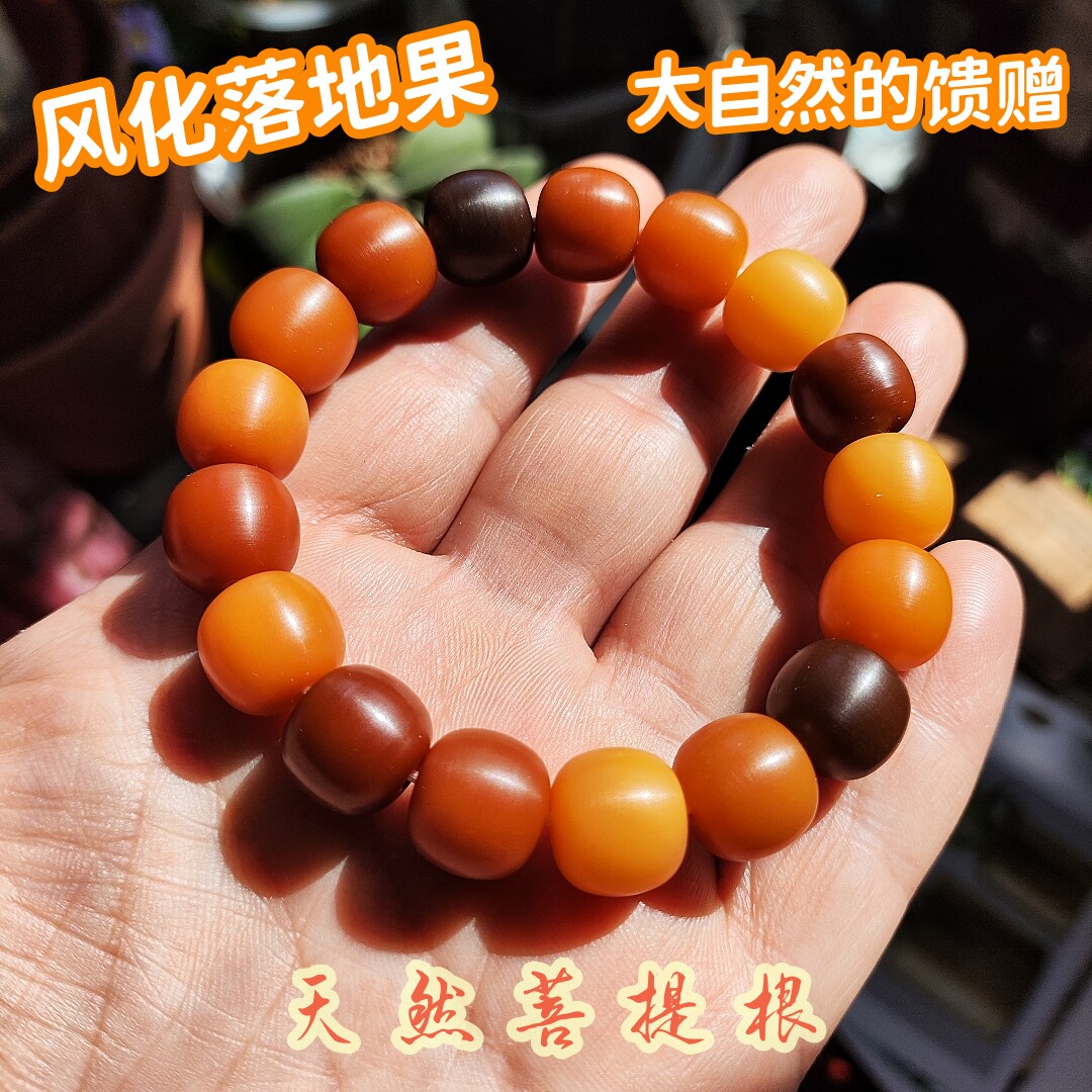 风化落地果纯手工打磨天然菩提根图片