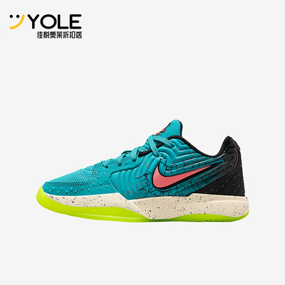 Nike/耐克正品JA 2 x Kool-Aid儿童缓震网眼经典篮球鞋IF3948-800