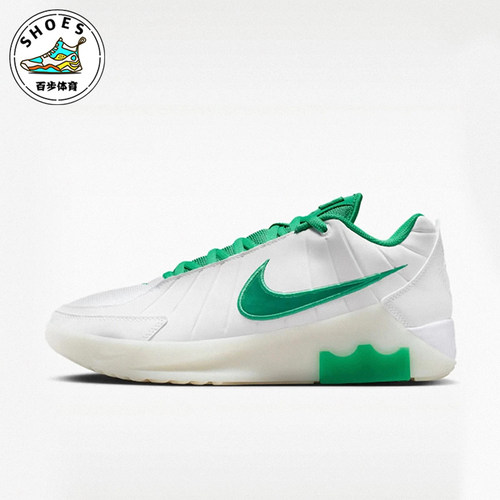 Nike/耐克正品LEBRON WITNESS IX EP男士经典篮球鞋HQ8035-101