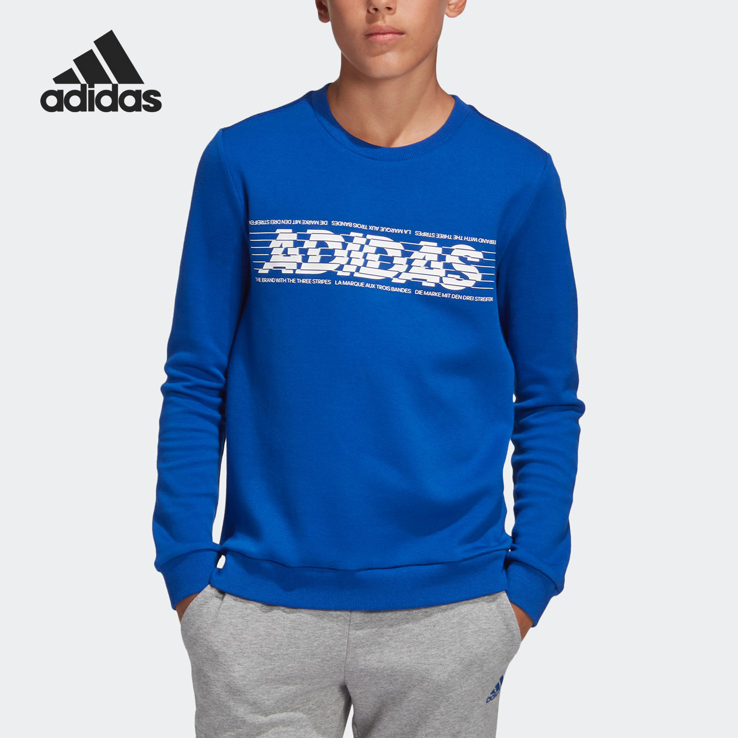 Adidas/阿迪达斯正品秋季男大童YB SID BR CREW2卫衣套头衫ED6510