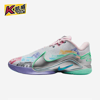 Nike/耐克正品LeBron 22男士运动时尚低帮训练篮球鞋FZ1097-100