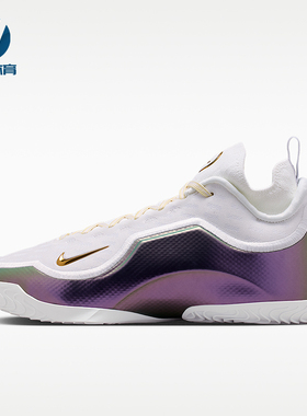 Nike/耐克正品LeBron新款男白紫色经典实战外场篮球鞋IB9558-100