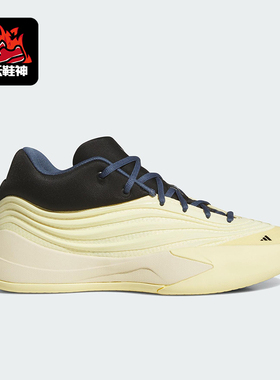 Adidas/阿迪达斯正品DAME X SHOES男士耐磨运动减震篮球鞋JP8634