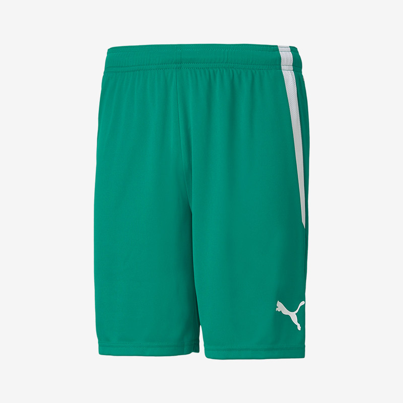 Puma/彪马正品夏季新款男士透气宽松运动训练短裤704924-05,运动服/休闲服装,运动中长裤／短裤,淘宝优惠券,粉丝福利购,淘宝优惠卷