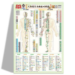 人体经脉穴位与病症对照图挂图 食物相生相克表 四季应季水果 时