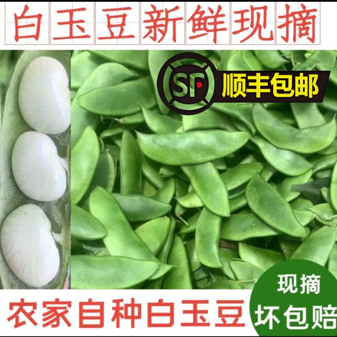 【顺丰包邮】洋扁豆新鲜白玉豆农家自种福建崇明上饶海门特产带壳