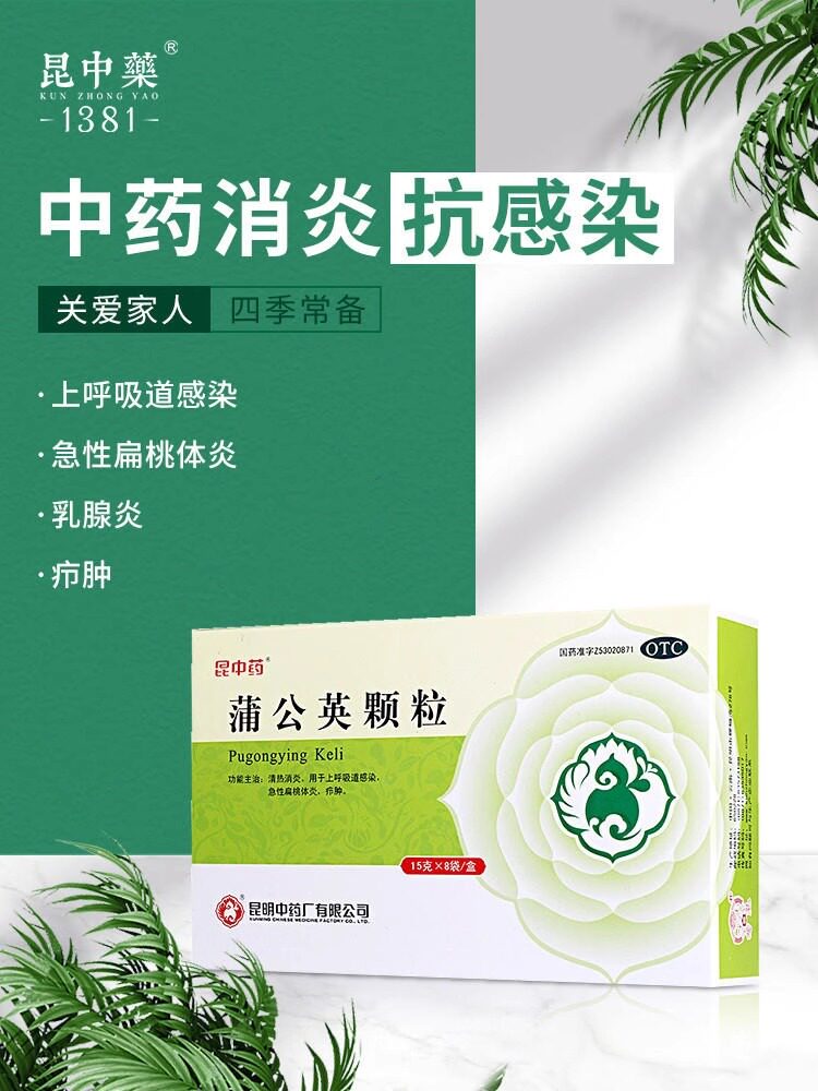 昆中药蒲公英颗粒清热消炎呼吸道感染上火扁桃体炎乳腺炎感冒中药
