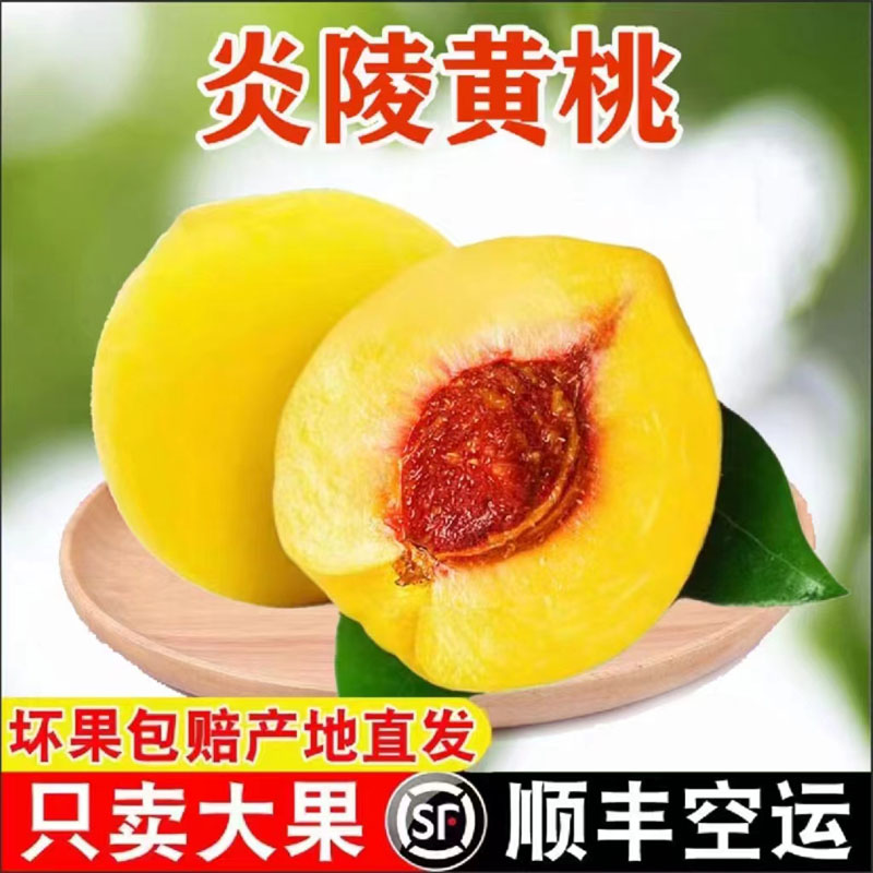 顺丰正宗湖南炎陵黄桃新鲜礼盒