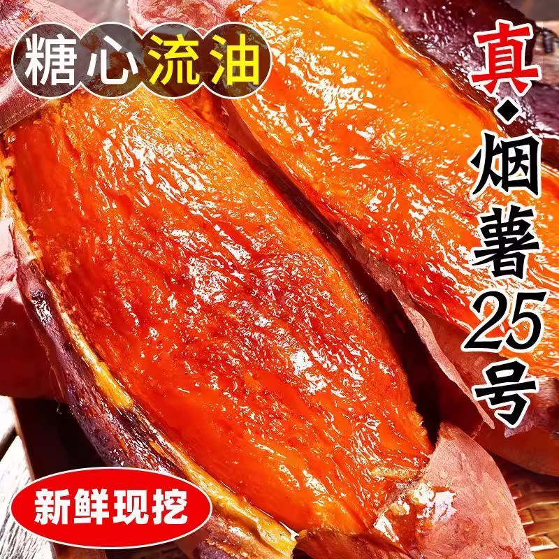 中国山东烟台市烟薯25号烟台农科院蜜薯糖心红薯红著地瓜