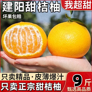 福建建阳甜桔柚甜橘柚新鲜水果甜心柚黄金贡柚非庆元甜桔柚整箱