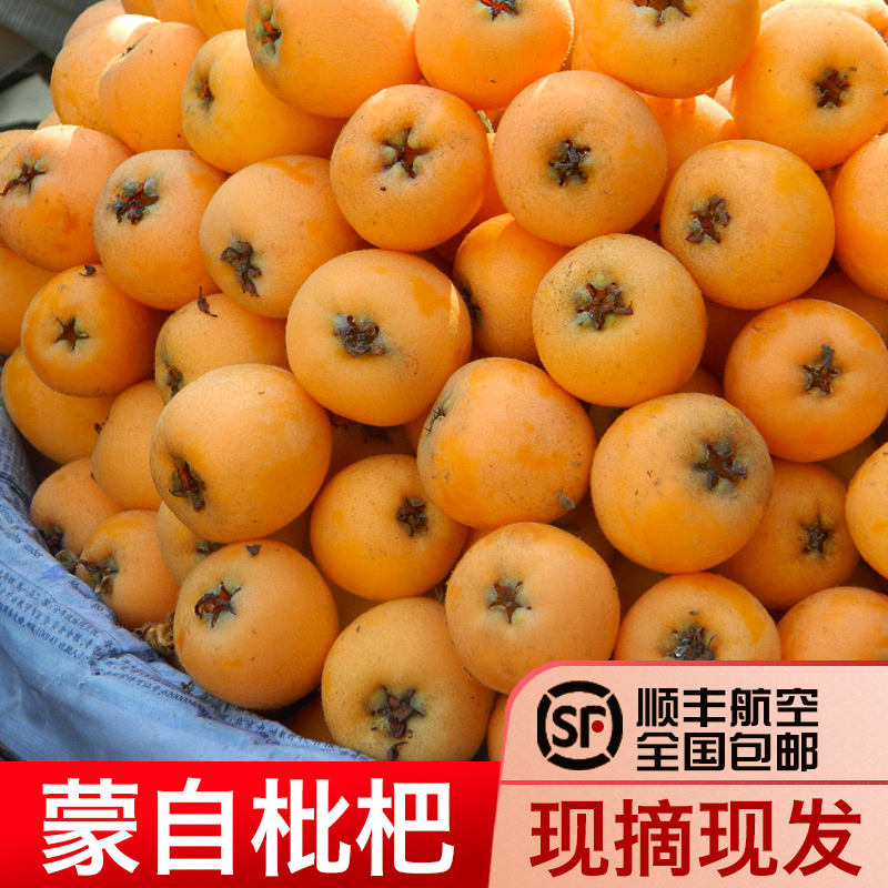 云南蒙自枇杷鲜果新鲜5斤当季现摘现发精选大果甜琵琶水果整箱