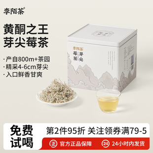 李陌茶芽尖莓茶湖南张家界嫩芽头茶叶散茶自己喝250g礼盒罐装