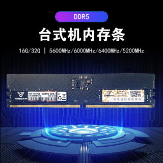 威士奇台式机内存条DDR5 16G 32G 48G 6400 4800 5600 6000