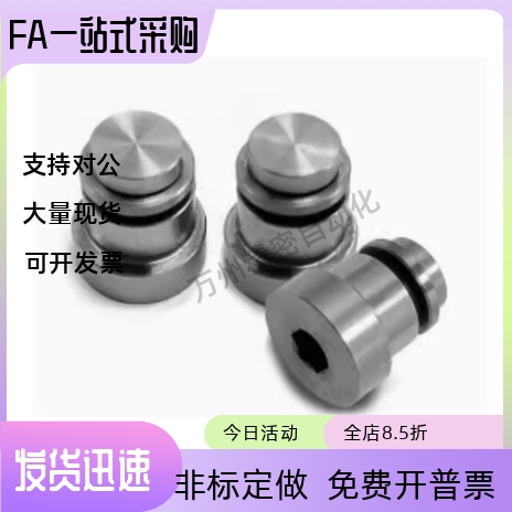 直线导轨用定位销 LLT3.5 LLT5 LLTS5偏心销ICE11-T5不锈钢轴效直