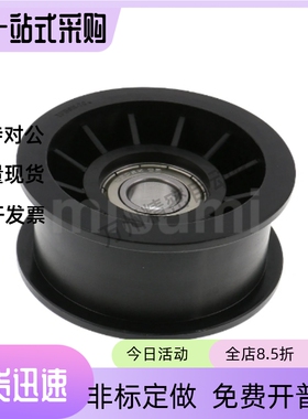 惰轮 树脂型 TPCFN TPBSN38 40 45 46 50 60 70-15 20 25 30 28