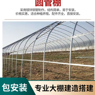速发养殖大棚全管骨架钢套温室猪羊塑料膜温棚观光连身棚子养鸡棚