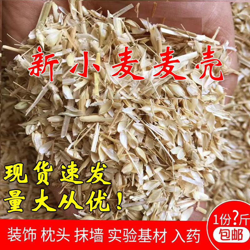 小麦麦糠新麦壳麦子皮秸秆麦芒可入药装修装饰培育填充做枕头饲料 畜牧/养殖物资 饲料原料 原图主图