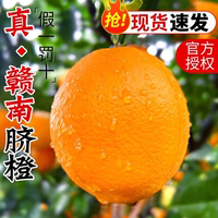 正宗贛南臍橙江西贛州手剝橙子新鮮天然甜應(yīng)季水果整箱10斤20商用