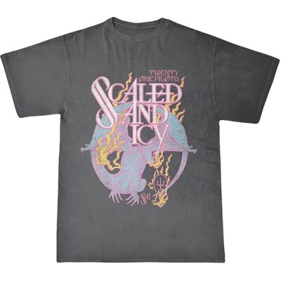 Vintage Casual T-Shirt Twenty One Pilots Band Women's Men Sh