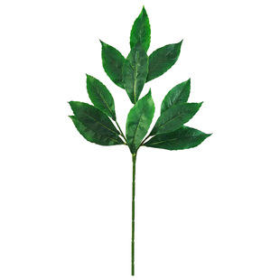 仿真植物新木荷树叶绿植木荷回树工程园林装饰造景新木荷工厂
