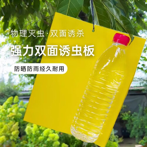 双面粘虫黄板诱虫板柑橘子树瓜果实蝇针蜂粘苍蝇贴粘虫板蓟粘虫板