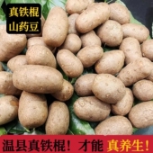 正宗新鲜温县铁棍山药豆垆土地怀山药山药蛋软糯面甜山药大果净重