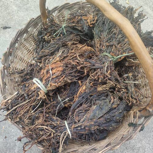 中药材干货散血丹叶 干货药材菊三七叶