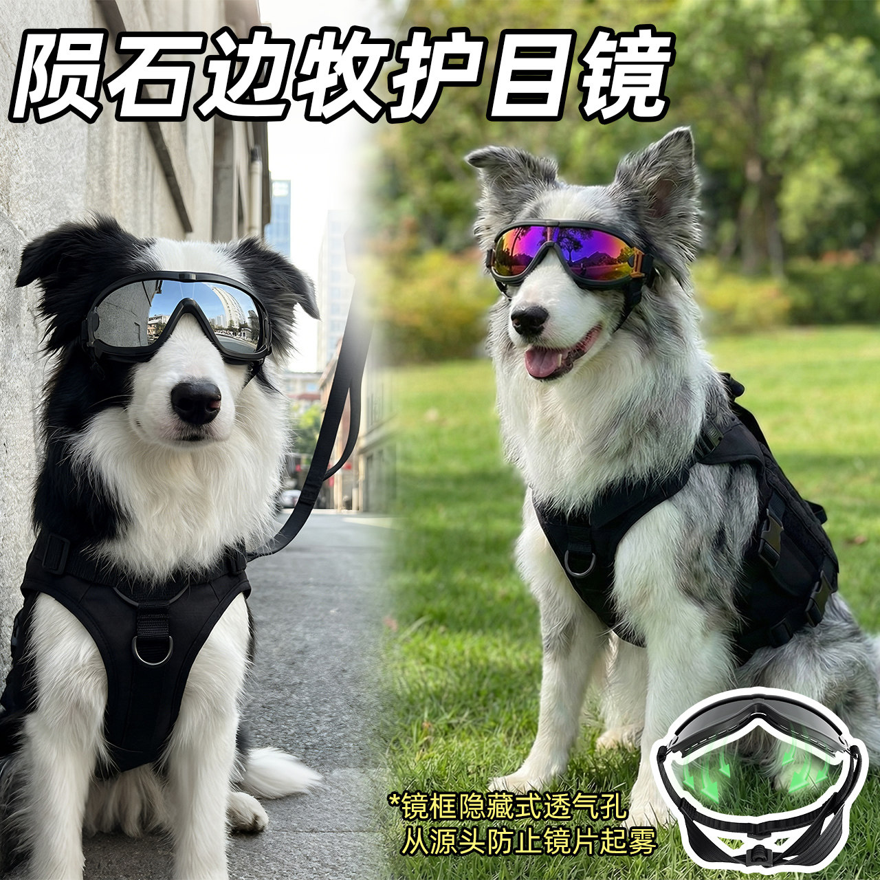 狗狗眼镜户外小型犬帅气装备防风眼镜柯基边牧金毛宠物专用护目镜,宠物/宠物食品及用品,宠物眼镜/护目镜,淘宝优惠券,粉丝福利购,淘宝优惠卷