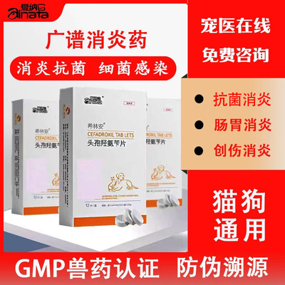 宠物消炎药抗菌消炎呼吸道感染
