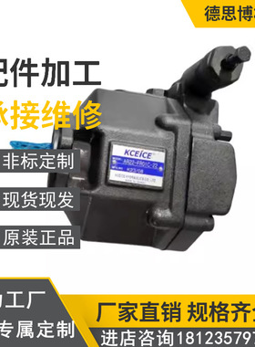 HVP-FAI-L8R/5R/11R/13R 叶片泵DS-12-FR 13/12/14台湾科圣KCIECE