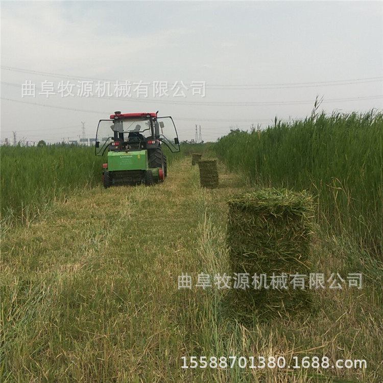 廊坊玉米秸秆收割打捆机 圆草捆打捆机 牧草收割粉碎打包机,农机/农具/农膜,农机配件,淘宝优惠券,粉丝福利购,淘宝优惠卷