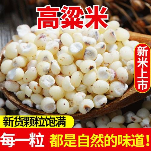 高粱米 新货白高粱米新鲜农家自种去皮白高粱米酿酒高粱当季包邮