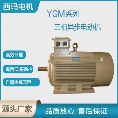 西安泰富电机YGM-160M2-8极5.5WB3低压交流三相异步电动机