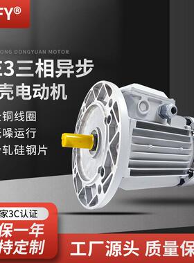 YE3三相异步电动机380v0.75/1.1W8极马达YE3-100L1/L2-8电机