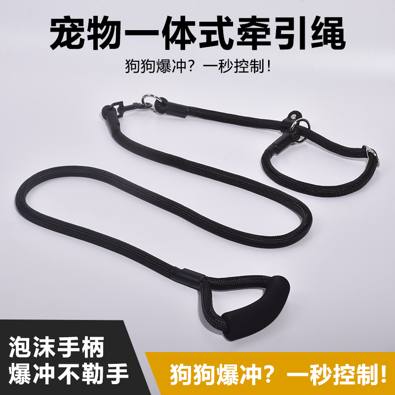 狗狗项圈P链P绳训犬牵引绳