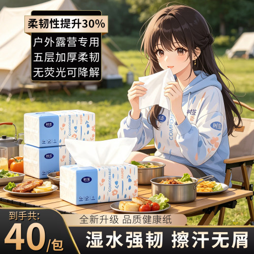 【湿水强韧】五层厚实揉搓无屑遇水不散户外露营清洁用纸无荧光剂