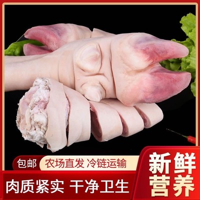 黄牛大蹄子胶质满满！！