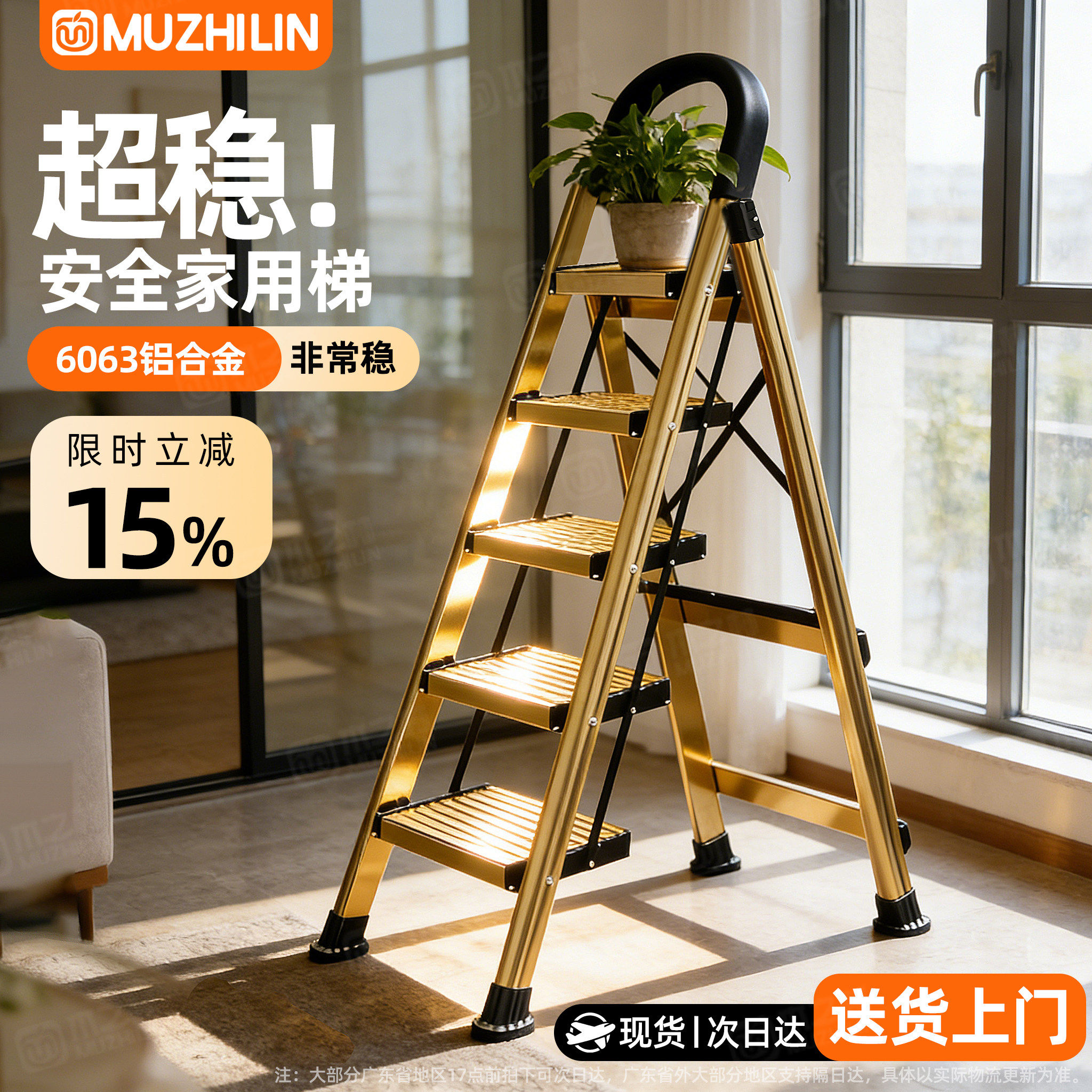 【德标品质HOT】3.0铁厚家用梯