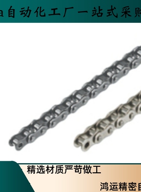 链条CEE35 CEES35-20 30 40  50 60 70 80 90 100 120 130