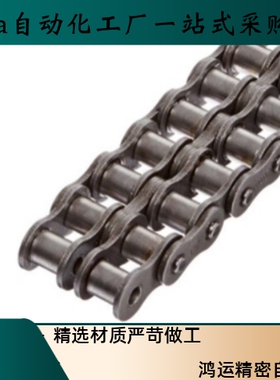 双排链条VMK31-60-2-45 50 60 70 80 90 110 120 130 140-A