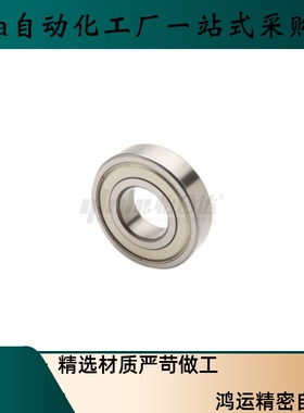 BAY6200 6201 6202 6203 6204 6205 ZZ-E-J SUS不锈钢轴承