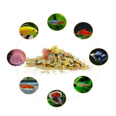 Fish Flakes for Small Seawater Colorful Fish Guppy,
