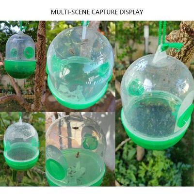 Hanging Beekeeping Catcher Cage Reusable Yellow Jacket Trap