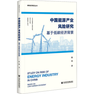 中国能源产业风险研究 基于低碳经济背景