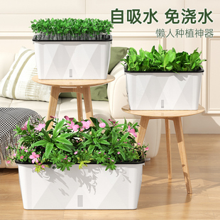 种菜花盆栽蔬菜种植箱家庭阳台塑料自吸水懒人长方形专用箱懒人盆